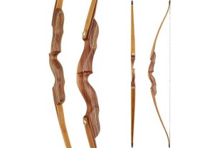 Hybrid Bows