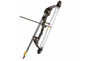 Compound Bows