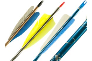 Complete Arrows buy online » BogenSportWelt