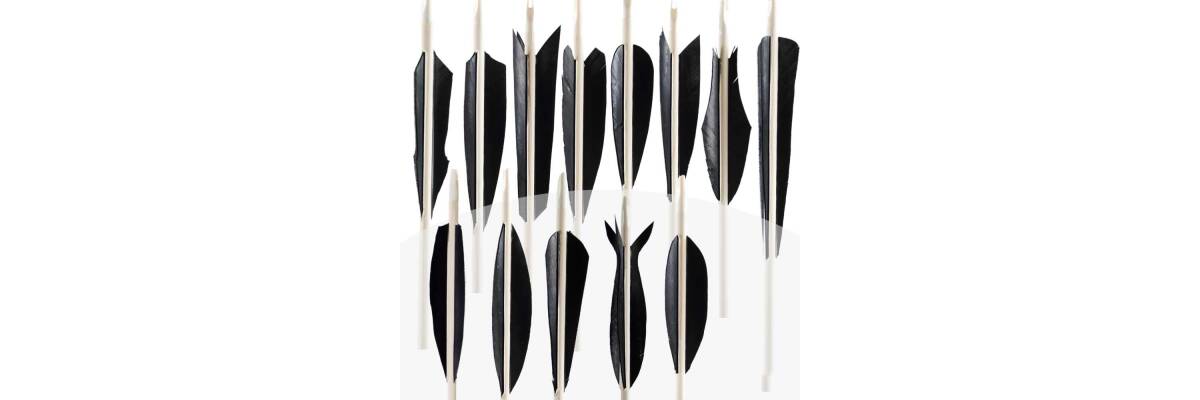 Length and Feather Shape