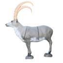 FRANZBOGEN - Ibex [Forwarding Agent]