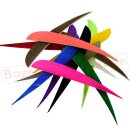 !!BESTSELLER!! BSW Speed Feather - various Lengths, Colors & Shapes