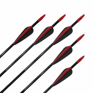 !!TIP!! TropoSPHERE Fibreglass Arrow with Standard Fletching - 30 inches