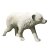 LEITOLD Little Polar Bear running