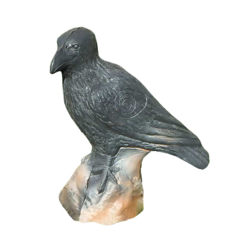 LEITOLD Common Raven