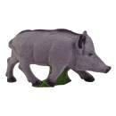 IBB 3D Boar