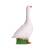 IBB 3D Goose