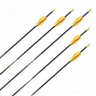 Komplettpfeil | EASTON X10 - Aluminium-Carbon | Spine: 750