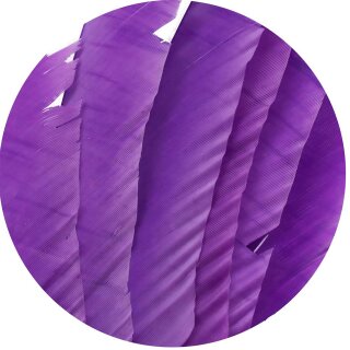 TRUEFLIGHT Natural feather Spiral - right-wound - Royal Purple