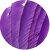 TRUEFLIGHT Naturfeder Spiral - rechtsgewunden - Royal Purple