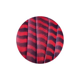 TRUEFLIGHT Natural feather Barred | Red Barred | full length - unstamped