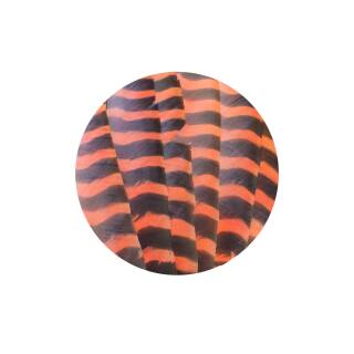 TRUEFLIGHT Naturfeder Barred | Orange Barred | volle Länge - ungestanzt
