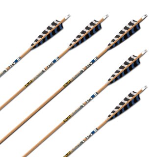 Complete Arrow | GOLD TIP Traditional XT - Carbon | Spine: 340