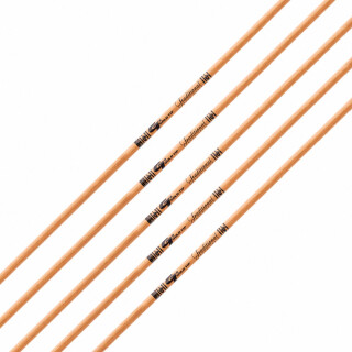 GOLD TIP Traditional - Carbon - Shaft incl. GT Nock and Accu-Lite Insert | Spine 500 | 29.0 inches