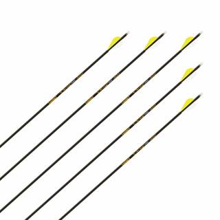 Komplettpfeil | GOLD TIP Velocity Pro - Carbon | Spine 340