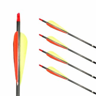 Complete Arrow | GOLD TIP Ultralight Pro - Carbon | Spine 600