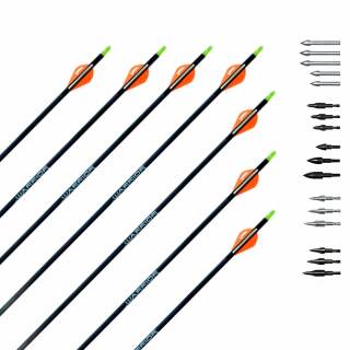 Komplettpfeil | GOLD TIP Warrior - Carbon - Vanes - Custom | Spine 500