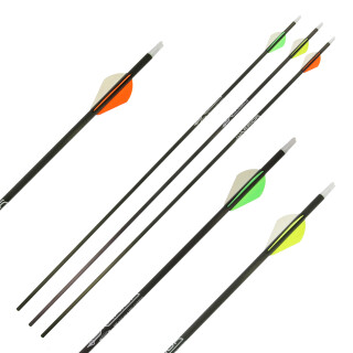 Komplettpfeil | GOLD TIP Warrior - Carbon - ab Werk befiedert - Spine 340 | 2 Zoll HP Vanes