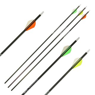 Complete Arrow | GOLD TIP Warrior - Carbon - Fletched at Factory - Spine 400 | 2 inches HP Vanes