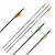 Complete Arrow | GOLD TIP Warrior - Carbon - Fletched at Factory - Spine 500 | 2 inches HP Vanes