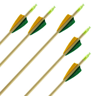 Complete Arrow | BSW Hardwood - Wood - with Feathers | Medium-Power Bows - 30-45 lbs - Ø 11/32 inches | 2x Green / 1x Yellow