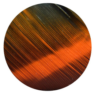 GATEWAY Natural feather ECC - Tre Camo - right-wound | Tre Orange | Shield | 3 inch