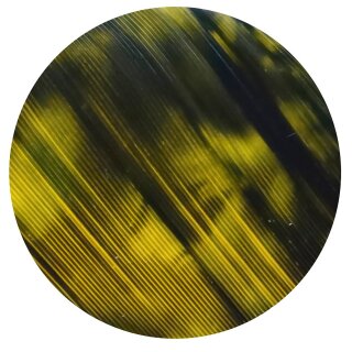 GATEWAY Natural feather ECC - Tre Camo - right-wound | Tre Yellow | other shapes and lengths