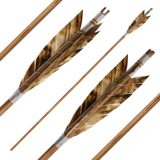Complete Arrow | BSW Elements - Earth (Brown) - Type of Wood: Spruce - Ø 5/16 inches