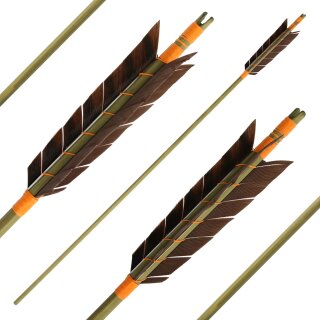 Complete Arrow | BSW Four Seasons - FALL - Type of Wood: Spruce Premium - Ø 11/32 inches