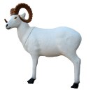 SRT Dall´s Sheep [Spedition]