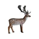 LEITOLD Fallow Deer [Forwarding Agent]