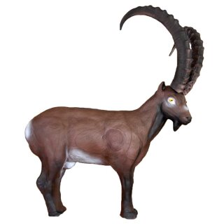 ELEVEN Target 3D Ibex