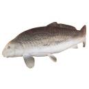 ELEVEN Target 3D Carp