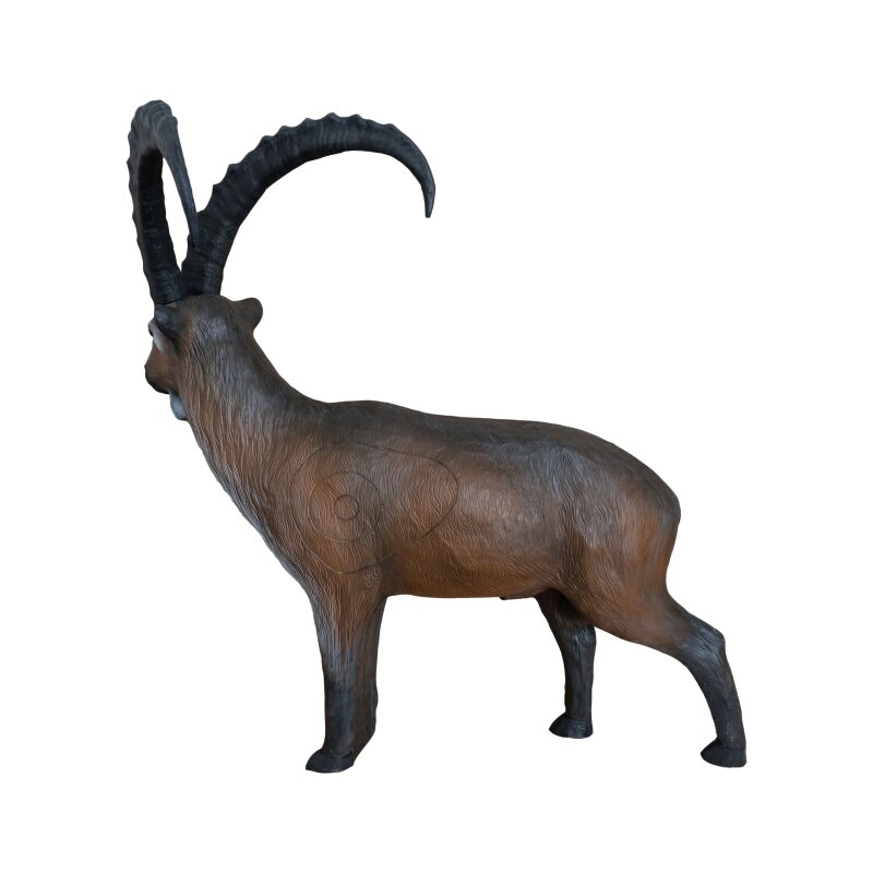 LEITOLD Ibex [Forwarding Agent]
