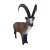 LEITOLD Ibex [Forwarding Agent]