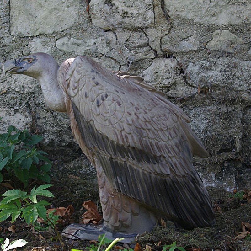NATURFOAM Vulture