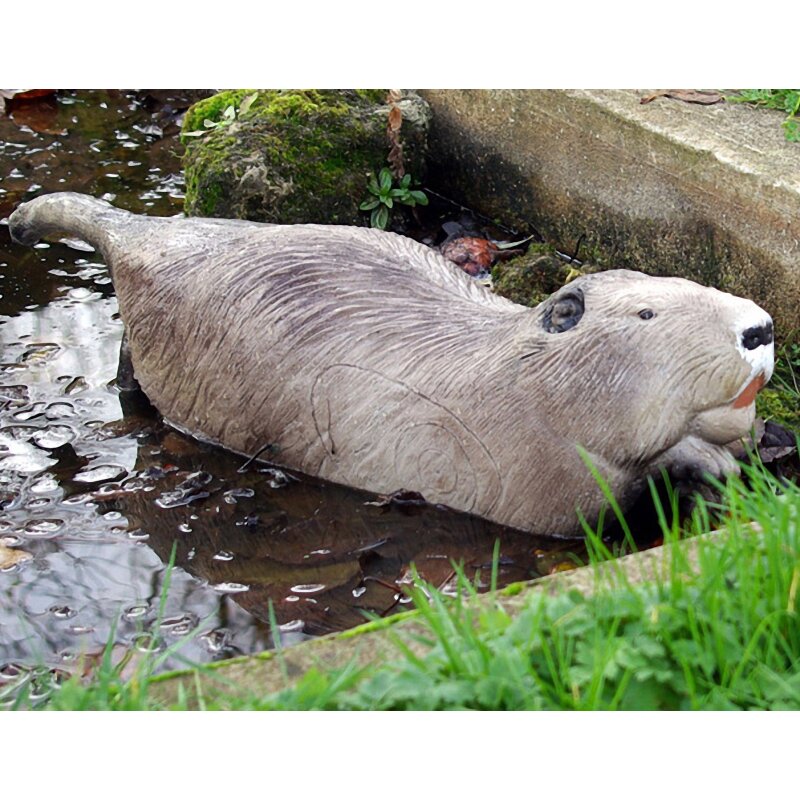 NATURFOAM Beaver - swimming