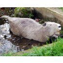NATURFOAM Beaver - swimming