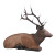 RINEHART Resting Elk [Forwarding Agent]