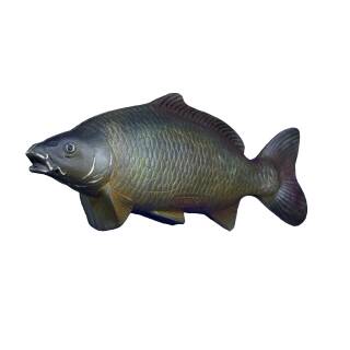 NATURFOAM Carp