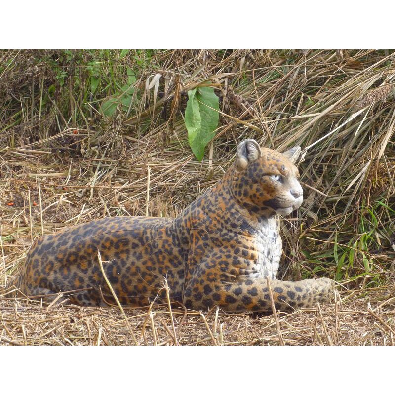 NATURFOAM Leopard - ruhend