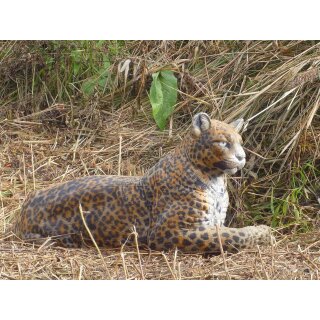 NATURFOAM Leopard - ruhend [***]