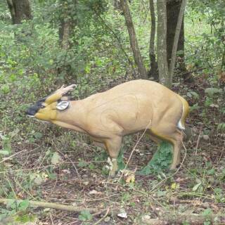 NATURFOAM Muntjak Deer