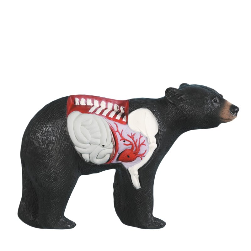 RINEHART Anatomy Bear