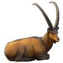 SRT Ibex - sitting [***]