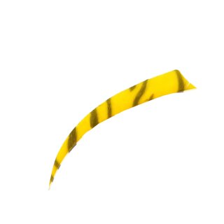 BEARPAW Zebra - Naturfedern - 4 Zoll Shield | Farbe: gelb / schwarz
