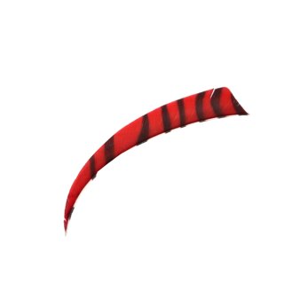 BEARPAW Zebra - Naturfedern - 4 Zoll Shield | Farbe: rot / schwarz