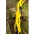 Riser | JACKALOPE Zircon - 25 inches - ILF | Colour: Yellow