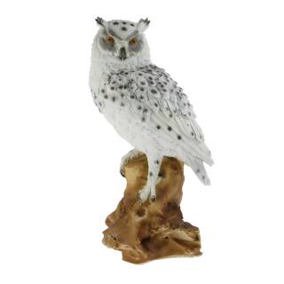 TC Targets - Karl, the Owl