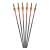 Armbrustbolzen | RAVIN CROSSBOWS Carbon .003 - 20 Zoll - 6er Pack